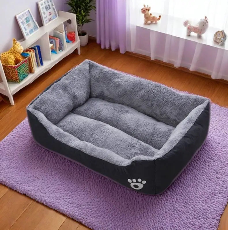 Black Dog Bed