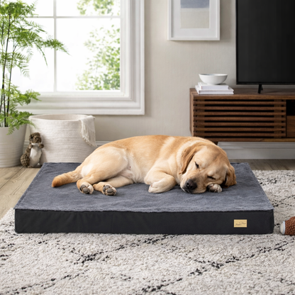 Orthopedic Dog Bed XL