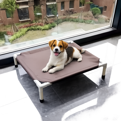 Elevated Camping Dog Bed