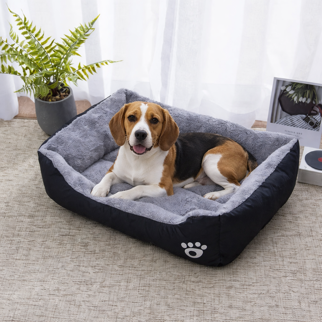 Black Dog Bed