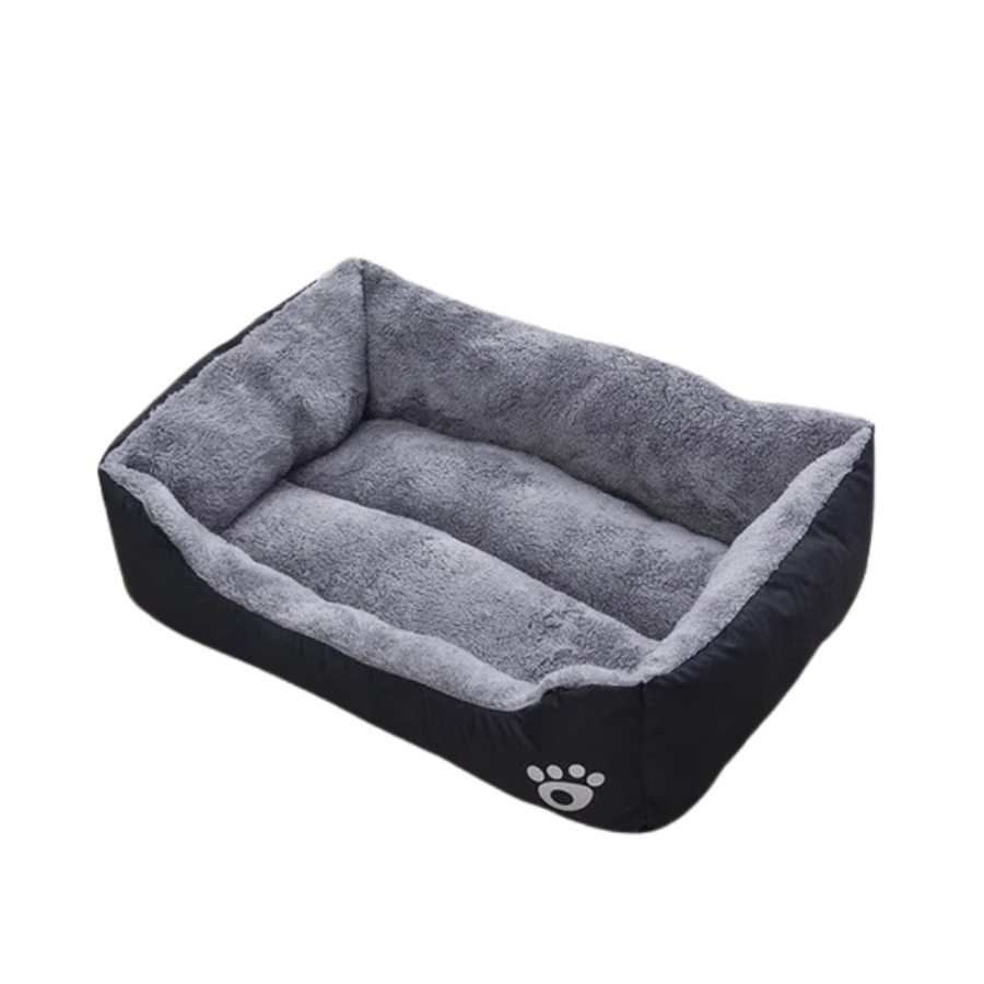 Black Dog Bed