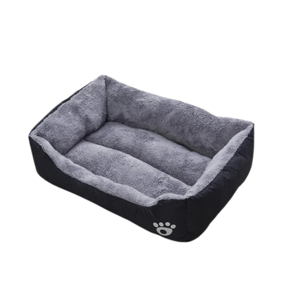 Black Dog Bed