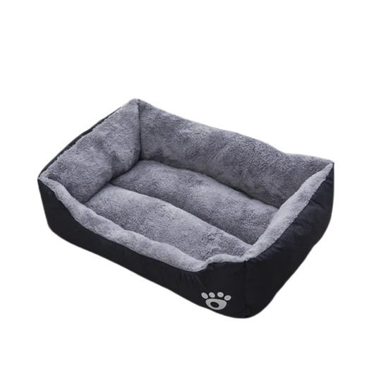 Black Dog Bed