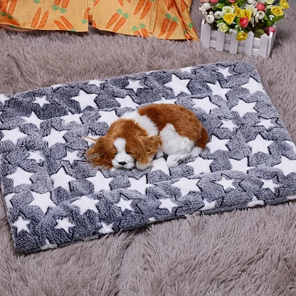 Small Heated Dog Bed
