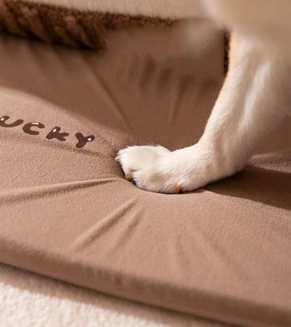 Indoor Heated Dog Bed