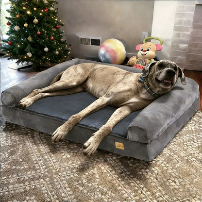 Large Memory Foam Dog Bed