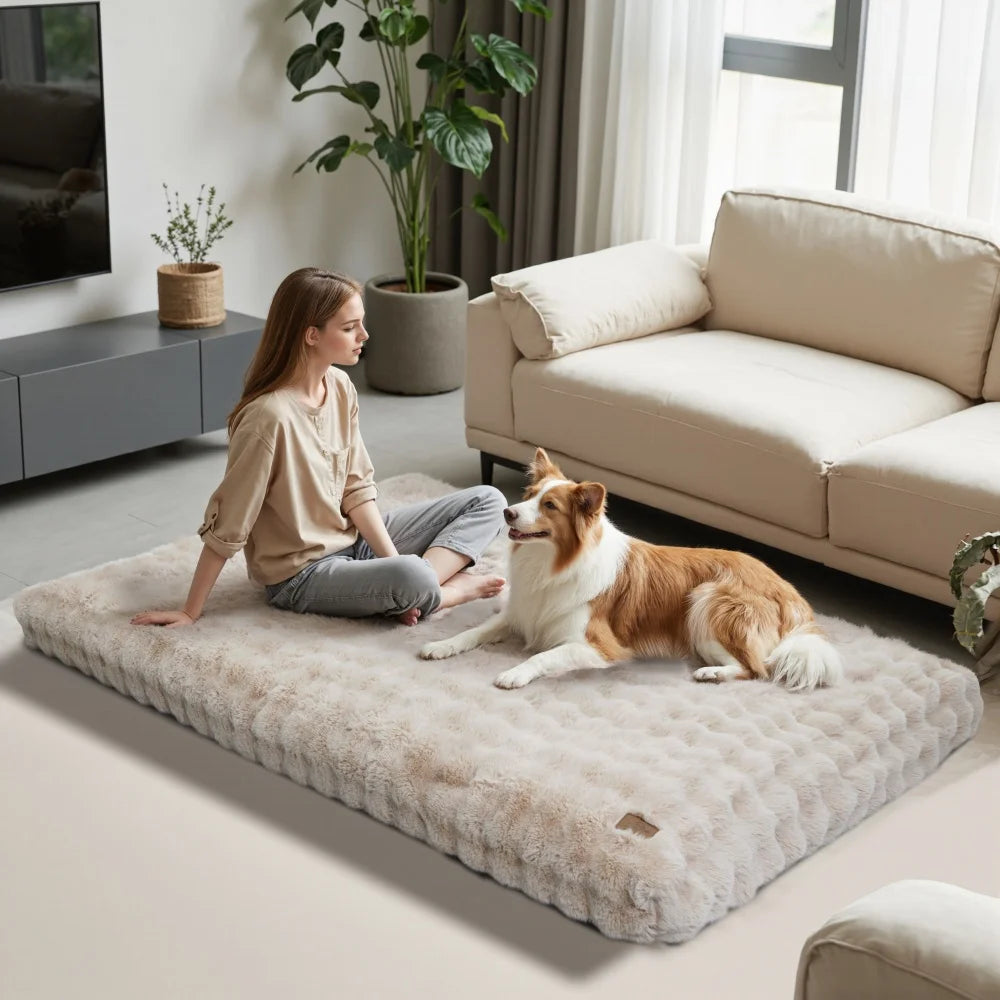 Ultra-Soft Dog Bed