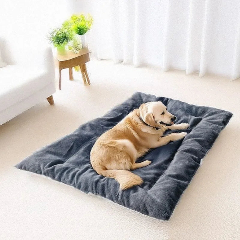 XL Plush Dog Bed