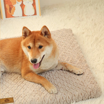 Memory Foam Dog Bed Orthopedic