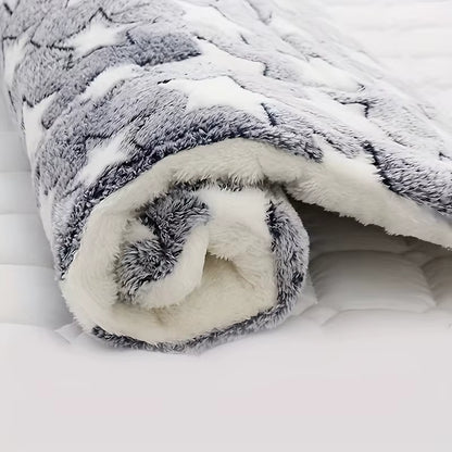 Small Heated Dog Bed