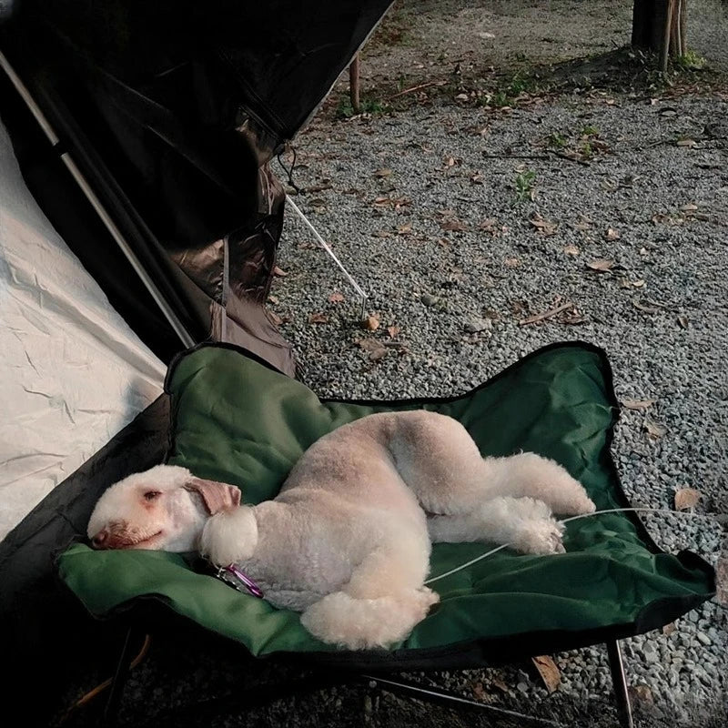 Camping Dog Bed