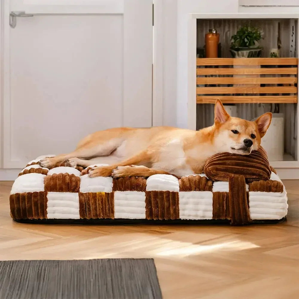 Plush Orthopedic Dog Bed